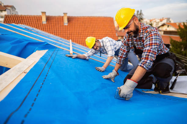 Best Roof Gutter Cleaning  in Panhandle, TX